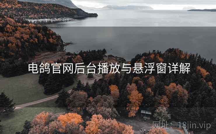电鸽官网后台播放与悬浮窗详解  第1张