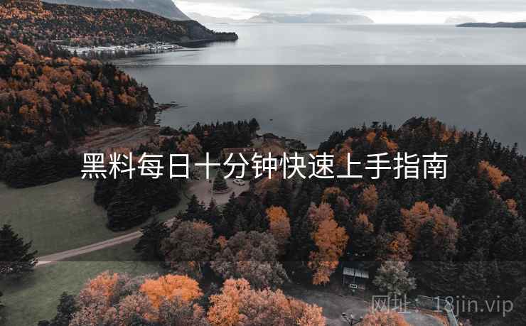黑料每日十分钟快速上手指南  第2张