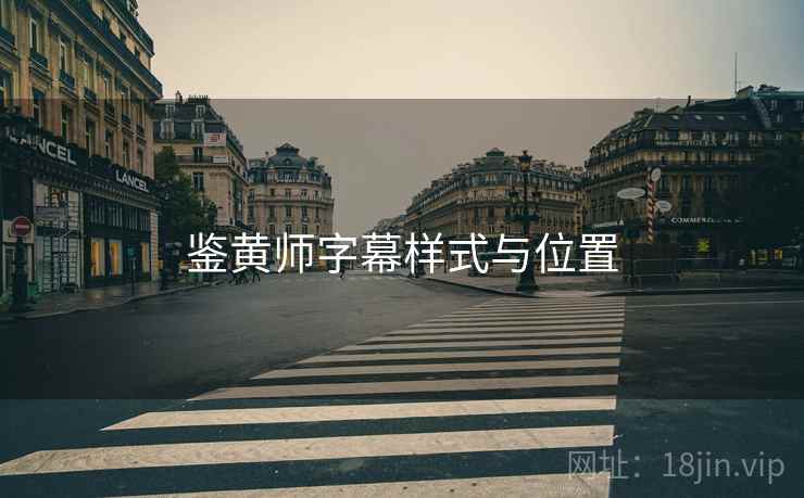 鉴黄师字幕样式与位置  第1张