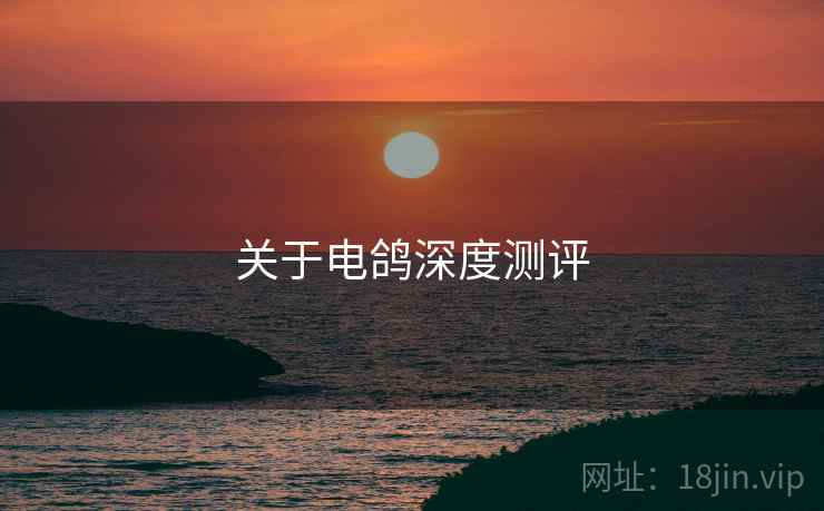 关于电鸽深度测评  第1张