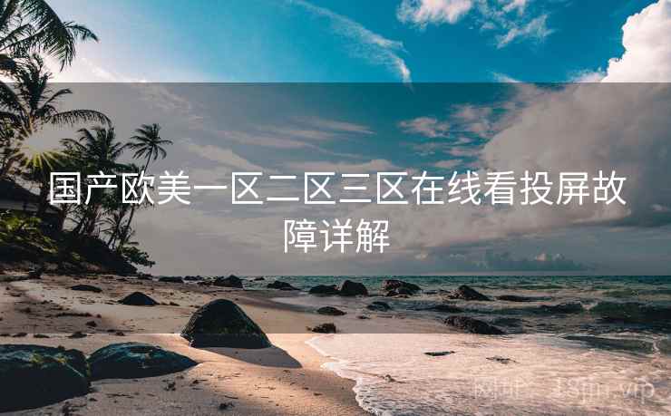 国产欧美一区二区三区在线看投屏故障详解  第1张