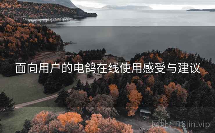 面向用户的电鸽在线使用感受与建议  第1张