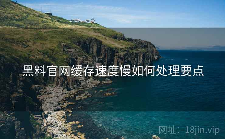 黑料官网缓存速度慢如何处理要点  第1张