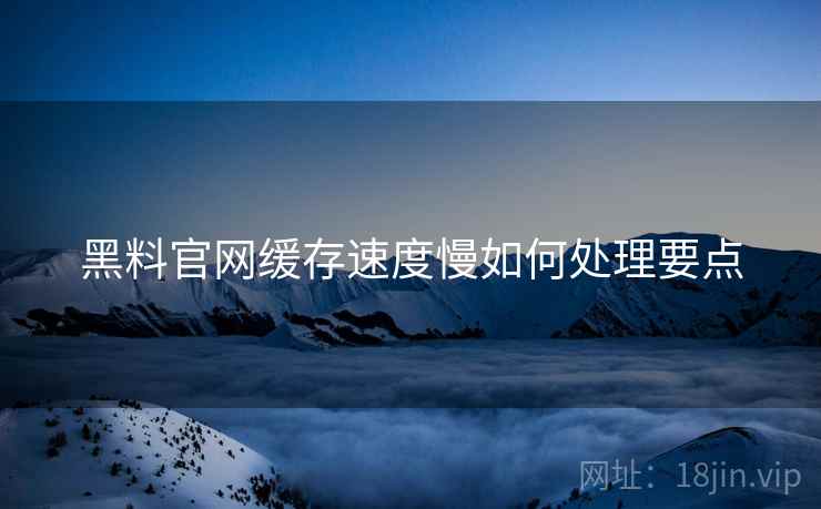 黑料官网缓存速度慢如何处理要点  第2张