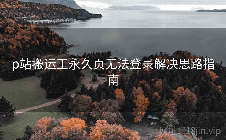 p站搬运工永久页无法登录解决思路指南  第2张