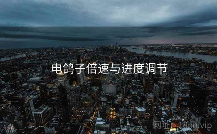 电鸽子倍速与进度调节  第2张