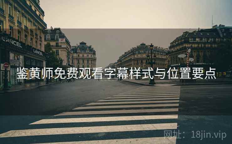 鉴黄师免费观看字幕样式与位置要点  第2张