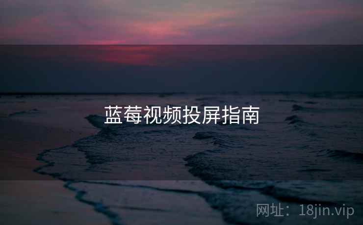 蓝莓视频投屏指南  第2张