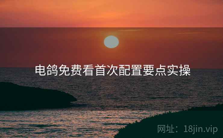 电鸽免费看首次配置要点实操  第2张