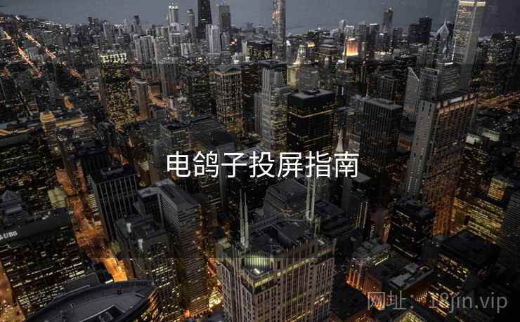 电鸽子投屏指南  第1张