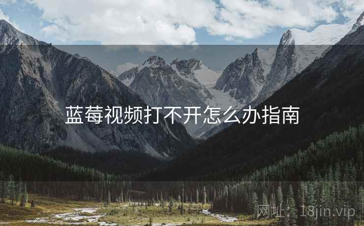 蓝莓视频打不开怎么办指南  第1张