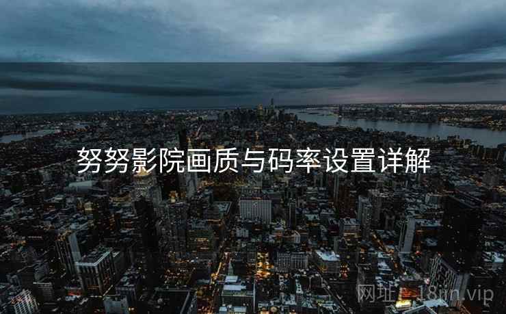 努努影院画质与码率设置详解