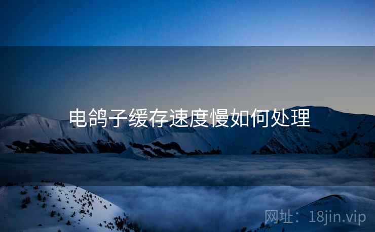 电鸽子缓存速度慢如何处理  第2张