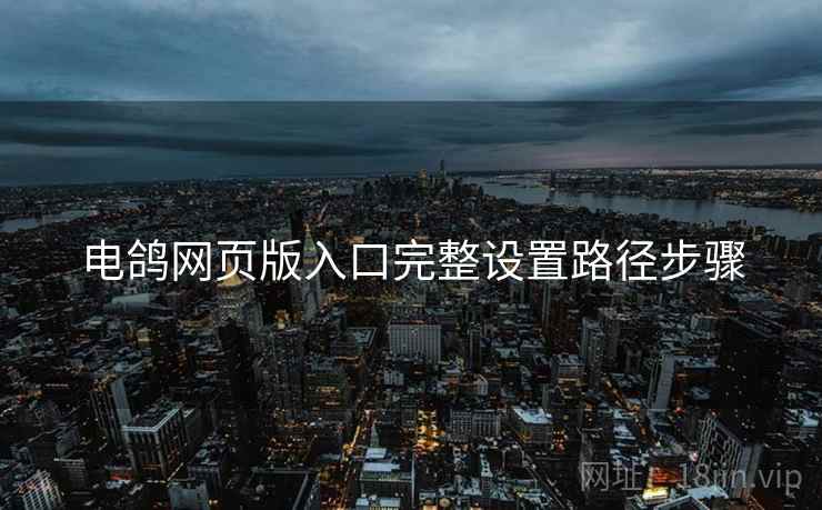 电鸽网页版入口完整设置路径步骤  第2张
