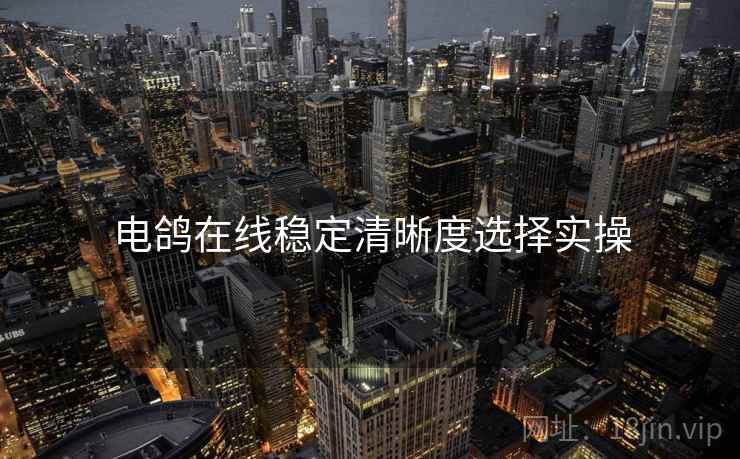 电鸽在线稳定清晰度选择实操  第1张