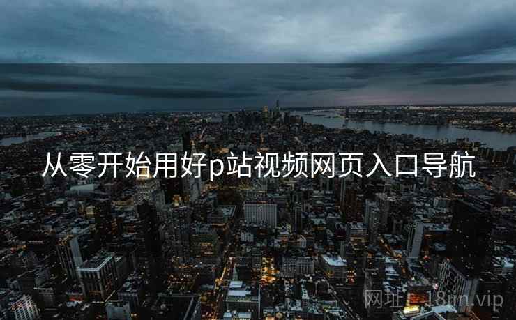 从零开始用好p站视频网页入口导航  第2张