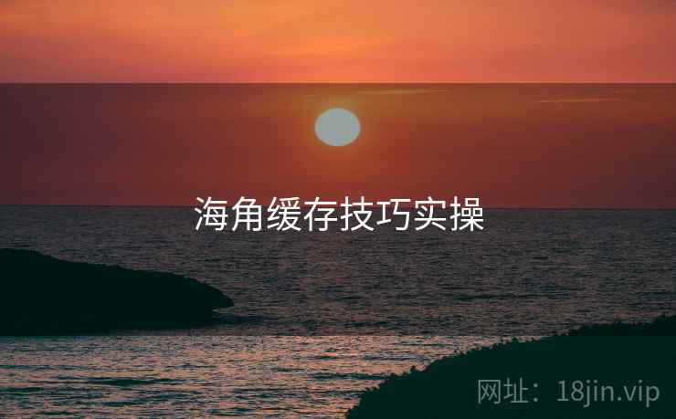 海角缓存技巧实操  第2张