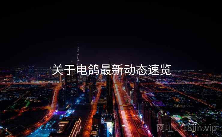 关于电鸽最新动态速览  第2张