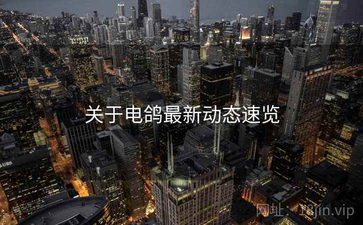 关于电鸽最新动态速览  第1张