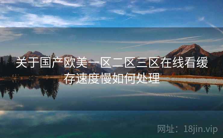 关于国产欧美一区二区三区在线看缓存速度慢如何处理  第2张