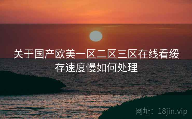 关于国产欧美一区二区三区在线看缓存速度慢如何处理  第1张