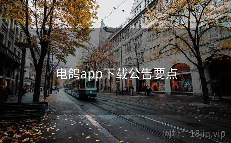 电鸽app下载公告要点  第1张