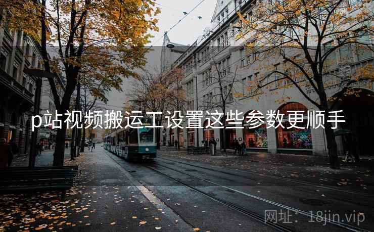 p站视频搬运工设置这些参数更顺手  第2张